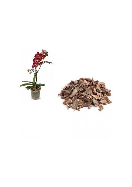 Orkide Toprağı 3 Litre