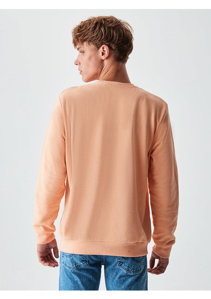 Lodıta Erkek Pudra Sweatshirt Pembe-Xs