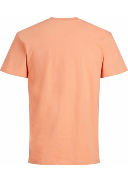 Jack & Jones Jorcopenhagen Tshirt 12176780