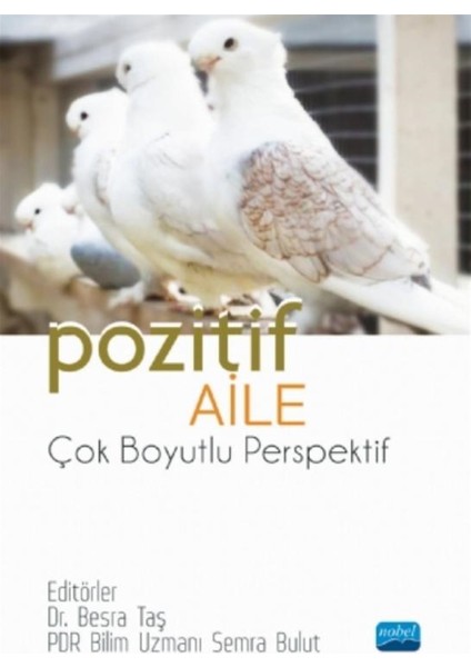 Pozitif Aile - Çok Boyutlu Perspektif - Besra Taş