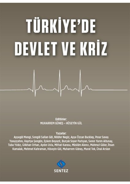 Türkiye'de Devlet ve Kriz - Ayşegül Mengi