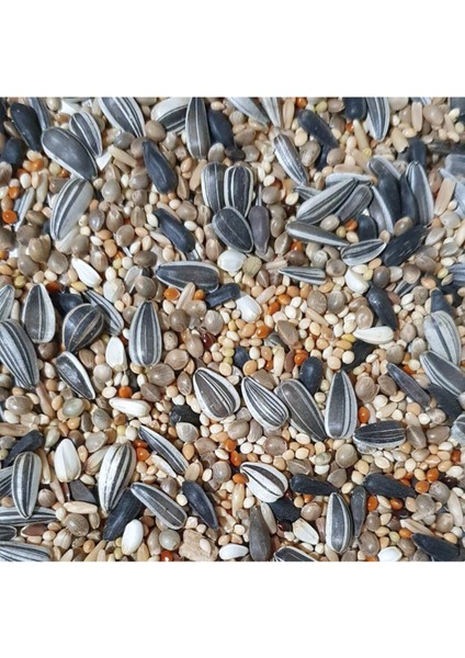 Notapetcenter Karışık Papağan Yemi 1 kg