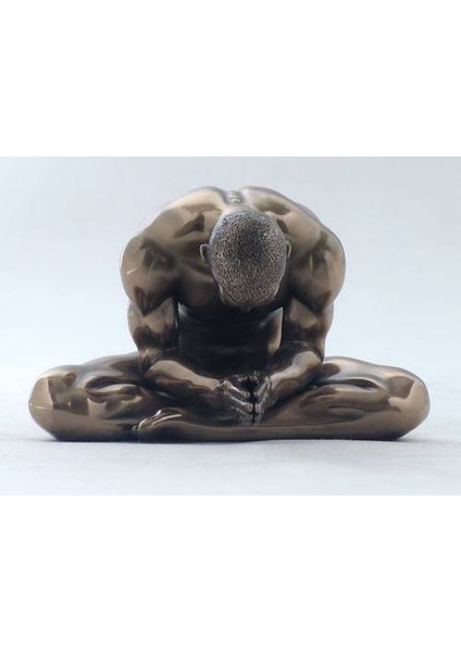 WISE BODY 135.*12*8.5 CM