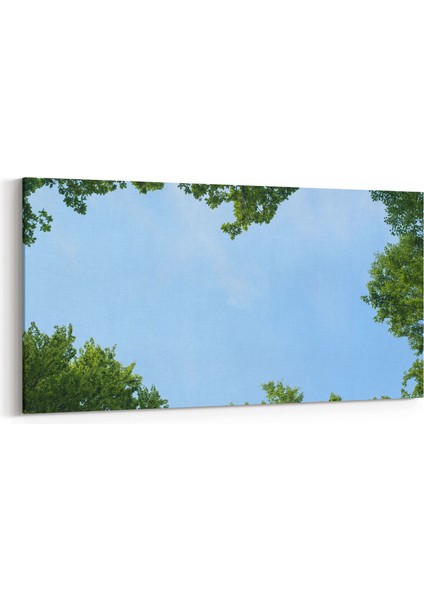 10763YD Ağaç Görseli Yatay Dar Kanvas Tablo