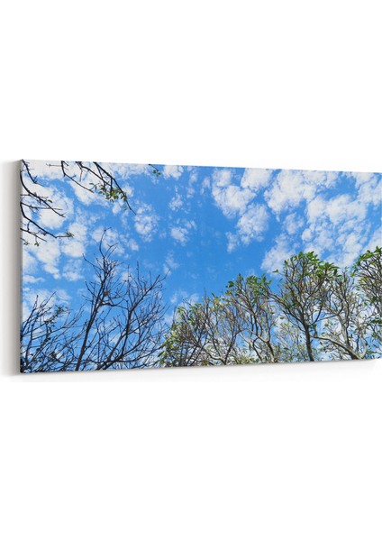 10803YD Ağaç Görseli Yatay Dar Kanvas Tablo