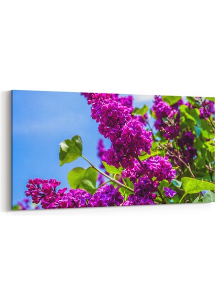 10969YD Ağaç Görseli Yatay Dar Kanvas Tablo