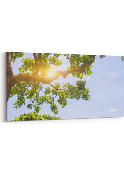 10604YD Ağaç Görseli Yatay Dar Kanvas Tablo