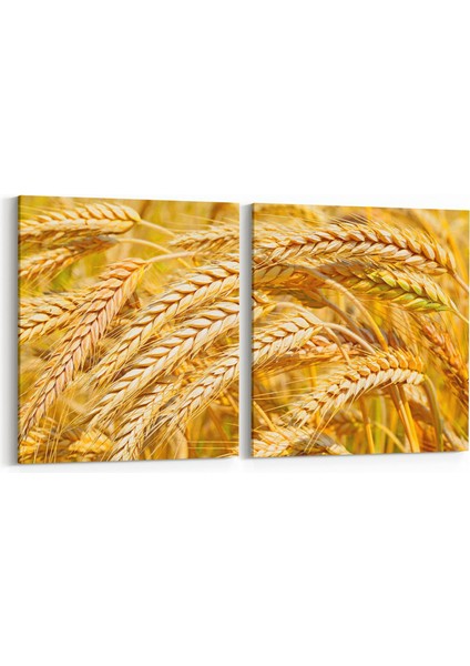 15127K2Y Gıda Görseli Kare 2'li Yatay Kanvas Tablo