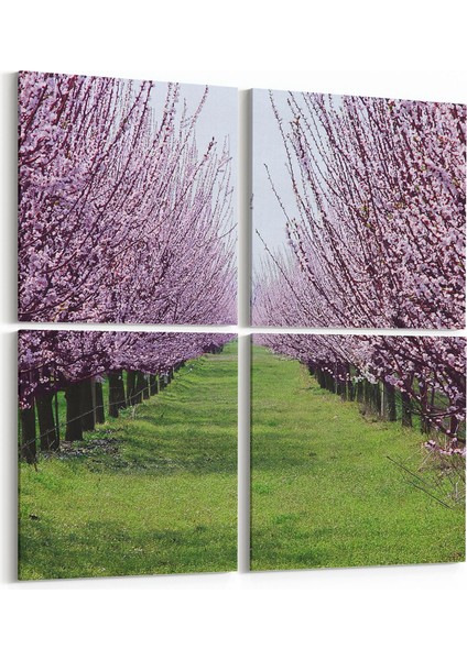 13453K4 Doğa / Manzara Görseli Kare 4'lü Kanvas Tablo