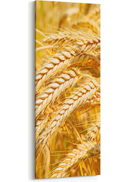 15127DI Gıda Görseli Dikey Ince Kanvas Tablo