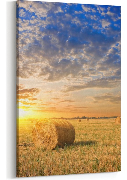 15909D Günbatımı Görseli Dikey Kanvas Tablo