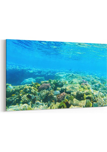 12935Y Deniz / Okyanus Görseli Yatay Kanvas Tablo