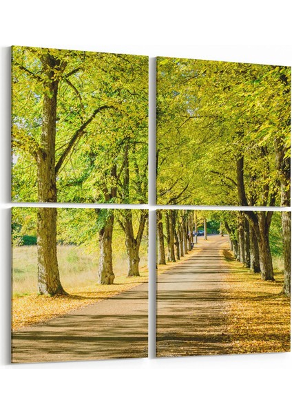 13285K4 Doğa / Manzara Görseli Kare 4'lü Kanvas Tablo