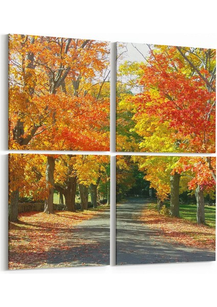 14529K4 Doğa / Manzara Görseli Kare 4'lü Kanvas Tablo