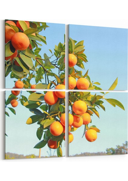 15039K4 Gıda Görseli Kare 4'lü Kanvas Tablo