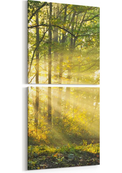 13268K2D Doğa / Manzara Görseli Kare 2'li Dikey Kanvas Tablo