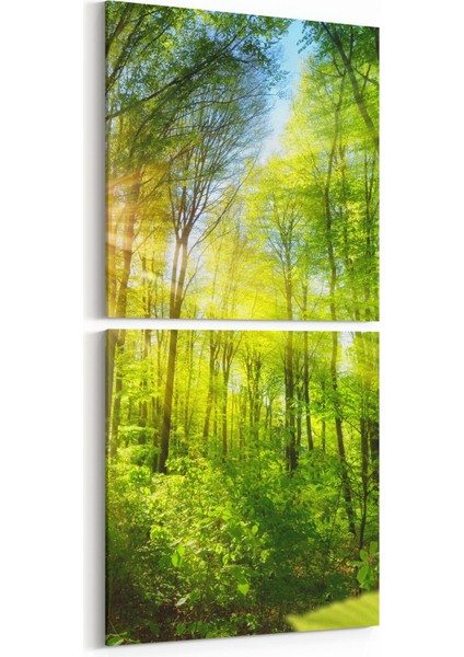 13987K2D Doğa / Manzara Görseli Kare 2'li Dikey Kanvas Tablo
