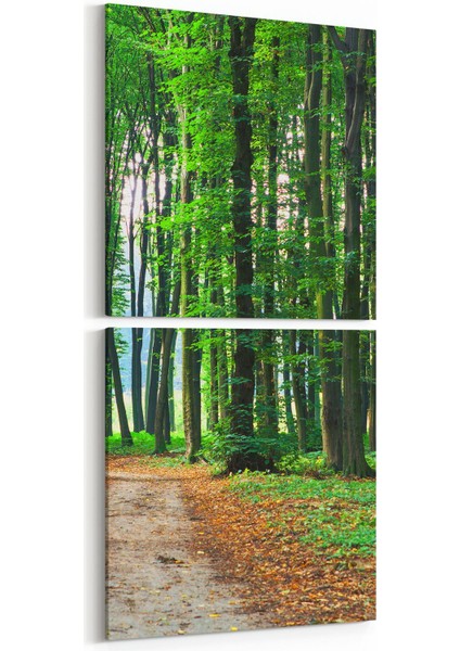 13870K2D Doğa / Manzara Görseli Kare 2'li Dikey Kanvas Tablo