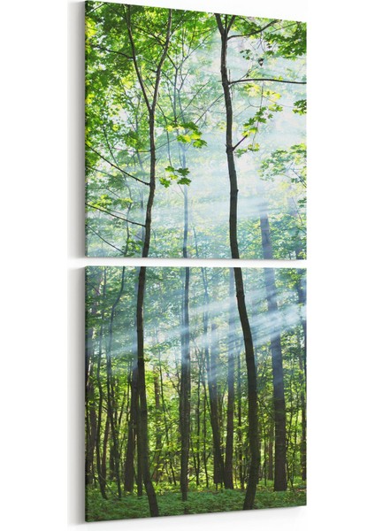 14621K2D Doğa / Manzara Görseli Kare 2'li Dikey Kanvas Tablo