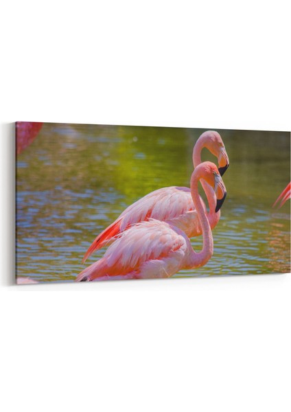 12481YD Hayvanlar Alemi Görseli Yatay Dar Kanvas Tablo