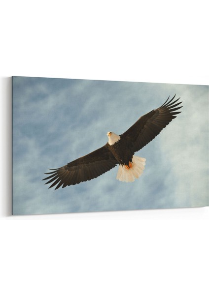 12688Y Hayvanlar Alemi Görseli Yatay Kanvas Tablo