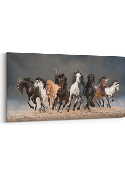 12493YD Hayvanlar Alemi Görseli Yatay Dar Kanvas Tablo