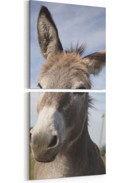 12588K2D Hayvanlar Alemi Görseli Kare 2'li Dikey Kanvas Tablo