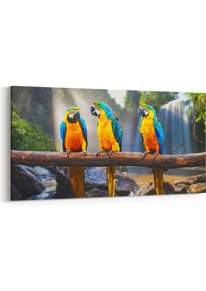 12560YD Hayvanlar Alemi Görseli Yatay Dar Kanvas Tablo