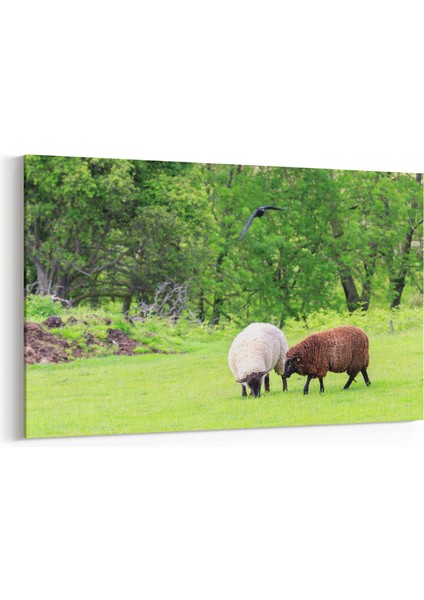 12525Y Hayvanlar Alemi Görseli Yatay Kanvas Tablo