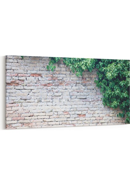 17324YD Taş / Tuğla Görseli Yatay Dar Kanvas Tablo