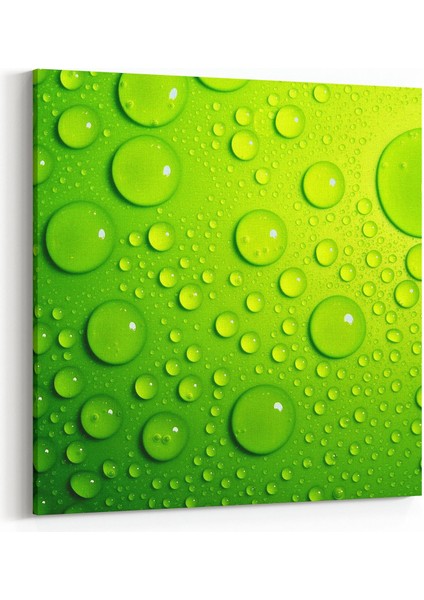 17253K Su / Damla Görseli Kare Kanvas Tablo