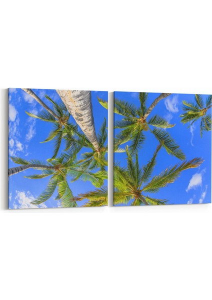 11516K2Y Palmiye Ağacı Görseli Kare 2'li Yatay Kanvas Tablo