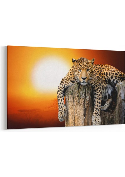 12550Y Hayvanlar Alemi Görseli Yatay Kanvas Tablo