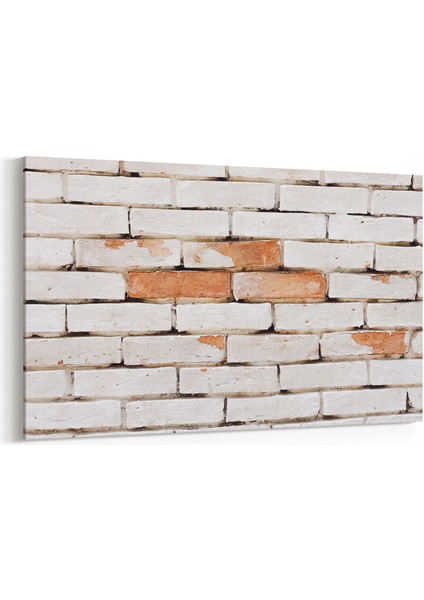 17411Y Taş / Tuğla Görseli Yatay Kanvas Tablo
