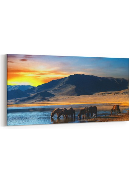 12693YD Hayvanlar Alemi Görseli Yatay Dar Kanvas Tablo