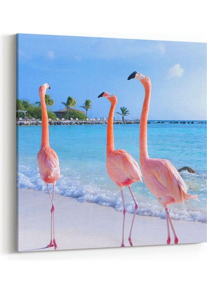 12463K Hayvanlar Alemi Görseli Kare Kanvas Tablo