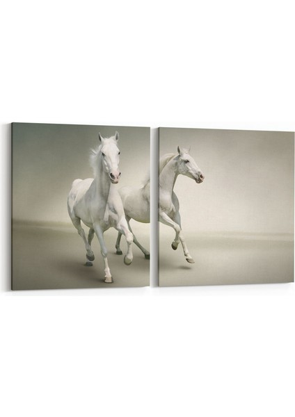 12473K2Y Hayvanlar Alemi Görseli Kare 2'li Yatay Kanvas Tablo