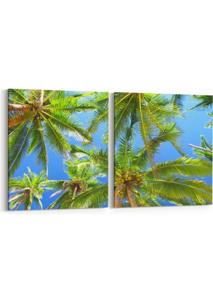 11518K2Y Palmiye Ağacı Görseli Kare 2'li Yatay Kanvas Tablo