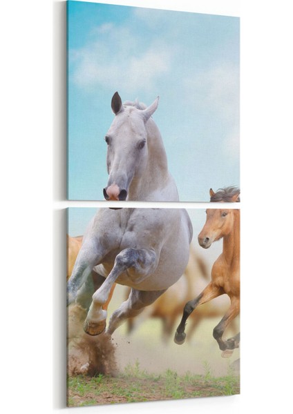 12483K2D Hayvanlar Alemi Görseli Kare 2'li Dikey Kanvas Tablo