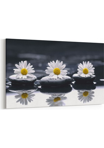 17060Y Spa / Masaj Görseli Yatay Kanvas Tablo