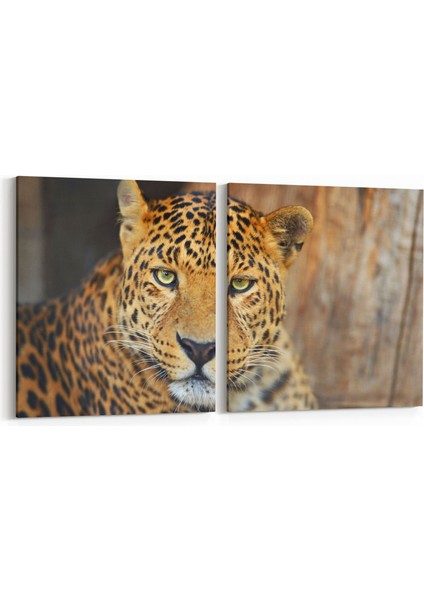 12487K2Y Hayvanlar Alemi Görseli Kare 2'li Yatay Kanvas Tablo