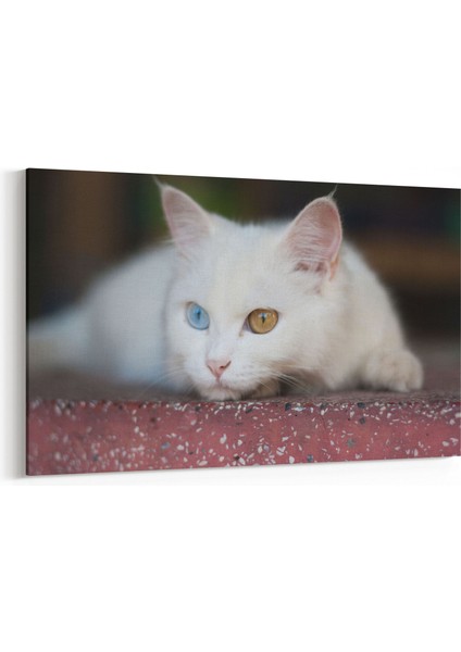 12578Y Hayvanlar Alemi Görseli Yatay Kanvas Tablo