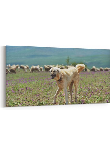 12656YD Hayvanlar Alemi Görseli Yatay Dar Kanvas Tablo