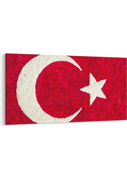 17546YD Türk Bayrağı Görseli Yatay Dar Kanvas Tablo