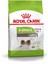 x -Small Ageing+12 Küçük Irk Yaşlı Köpek Maması 1,5 kg 1