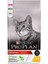 Tavuklu Pirinçli Yetişkin Kedi Mamasi 1,5 kg 2