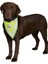 Köpek Bandanası L- xl 42-60 cm 4