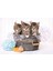 180 Parça Puzzle Lovely Kittens 1