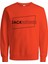 Jcodıen Sweat Crew Neck 12201839 1