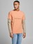 Jack & Jones Jorcopenhagen Tshirt 12176780 1